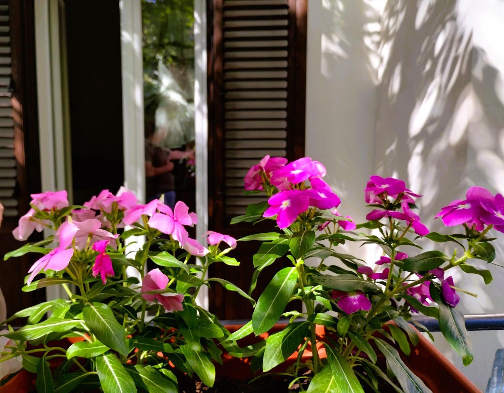 Domus Vetriera Apartment ปาแลร์โม ภายนอก รูปภาพ